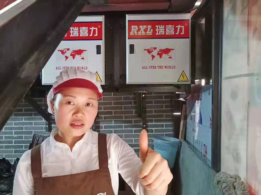 国内客户案例