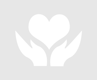 瑞喜力油烟净化器祝您新春快乐，2026 年元旦放假通知